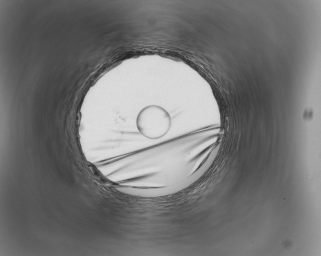X0000116811057201001151139