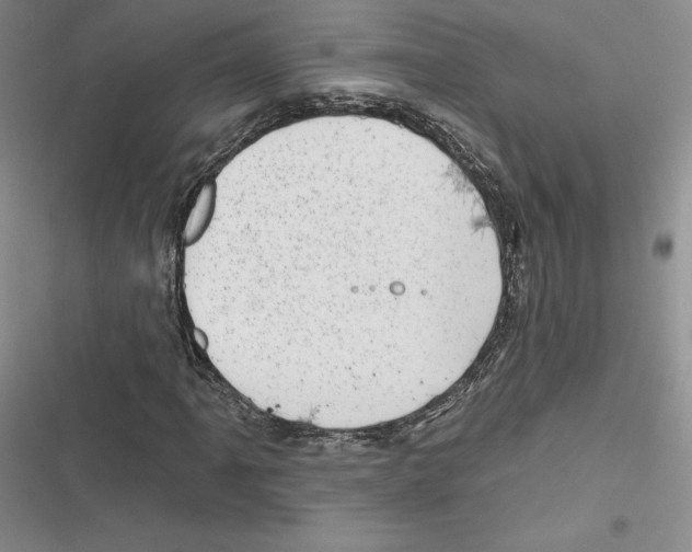 X0000116811061201001151139