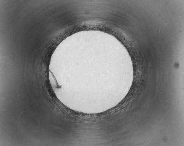 X0000116811062201001151139