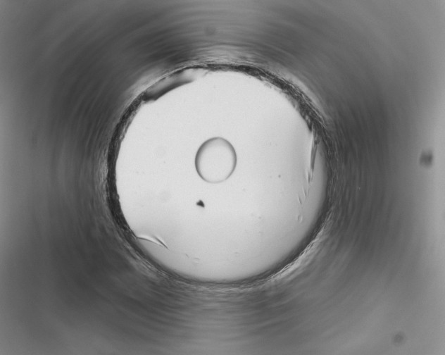 X0000116811065201001151139