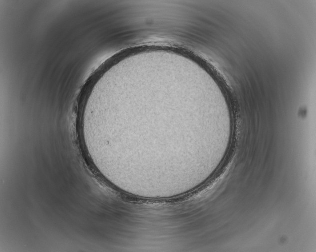 X0000116811066201001151139