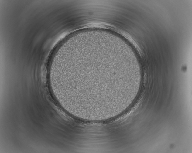 X0000116811067201001151139