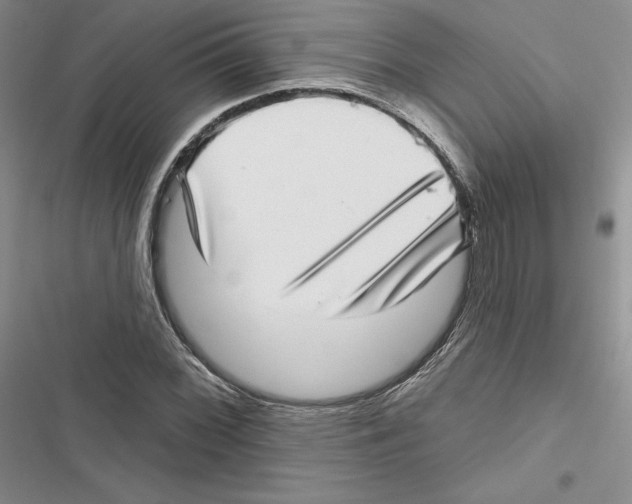 X0000116811068201001151139