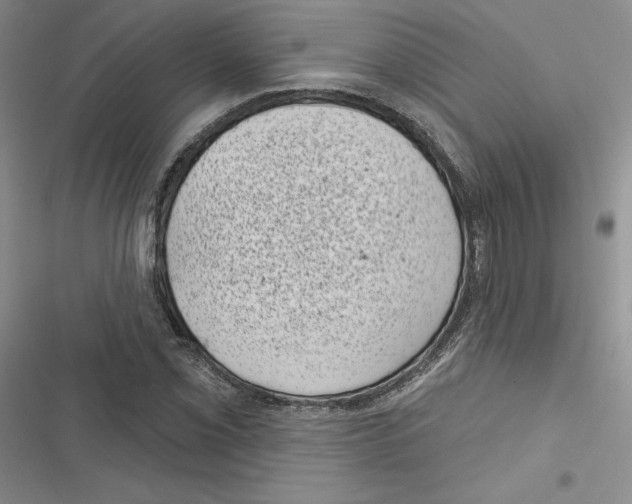 X0000116811069201001151139