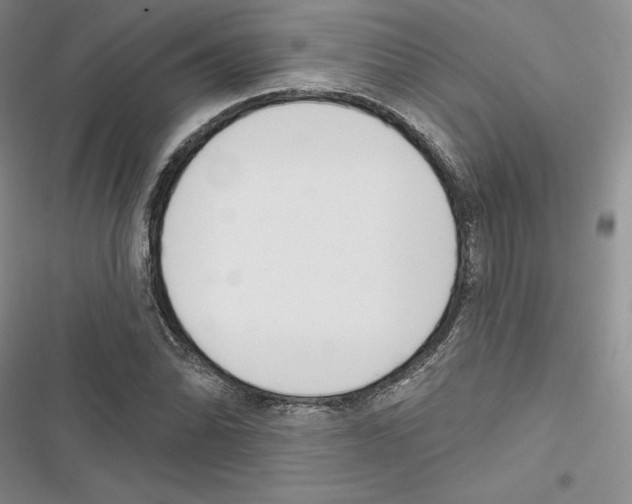 X0000116811070201001151139