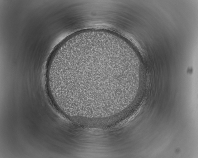 X0000116811071201001151139