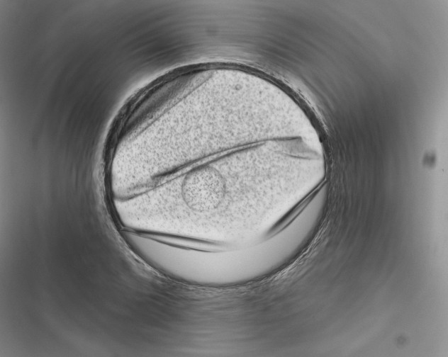 X0000116811072201001151139