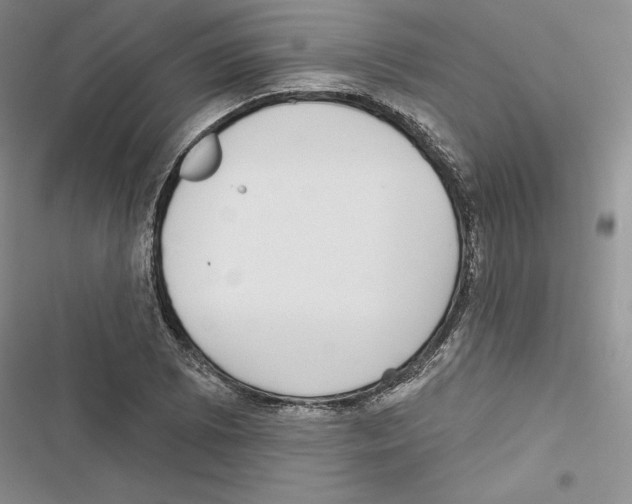 X0000116811073201001151139