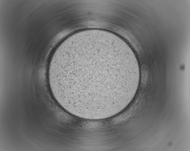 X0000116811074201001151139
