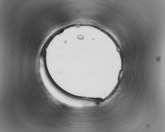 X0000116811075201001151139