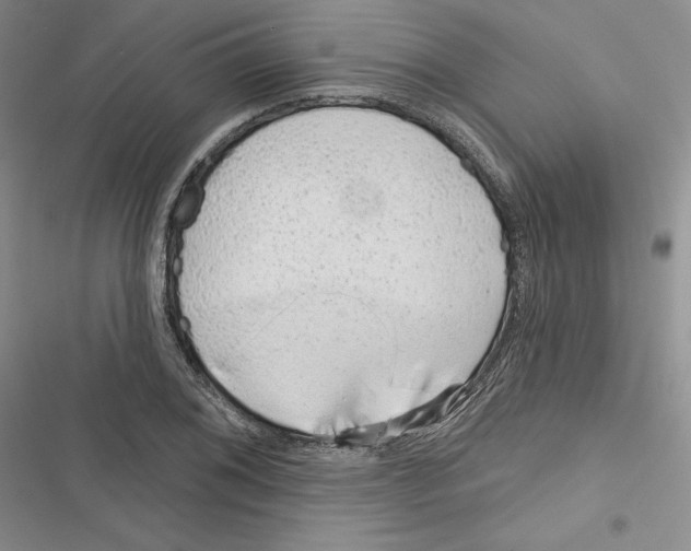 X0000116811076201001151139