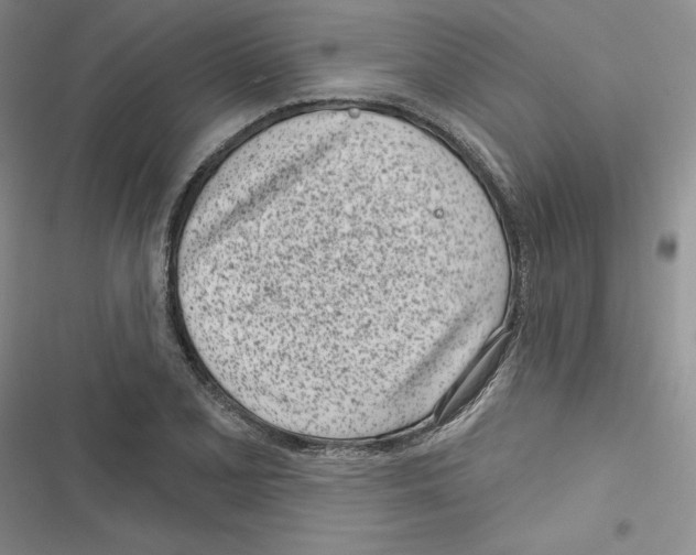 X0000116811077201001151139