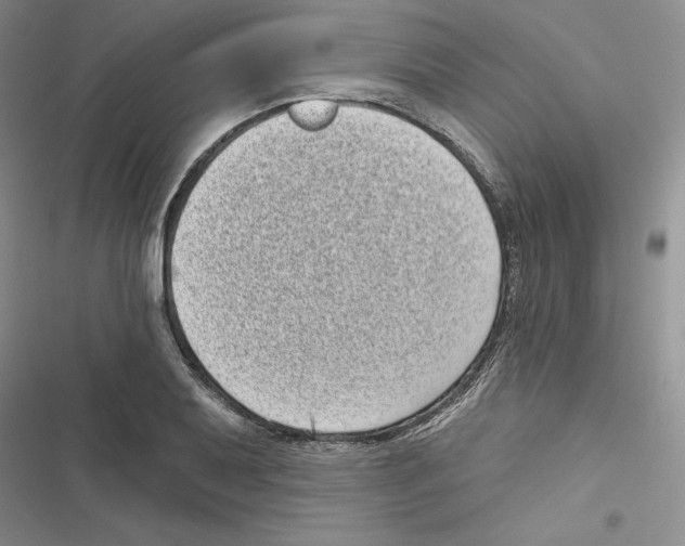 X0000116811079201001151139