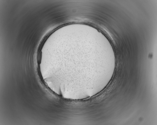 X0000116811080201001151139