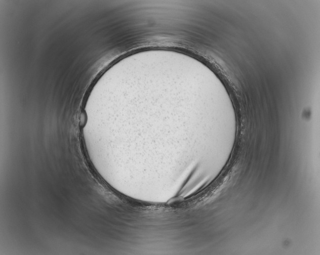 X0000116811081201001151139