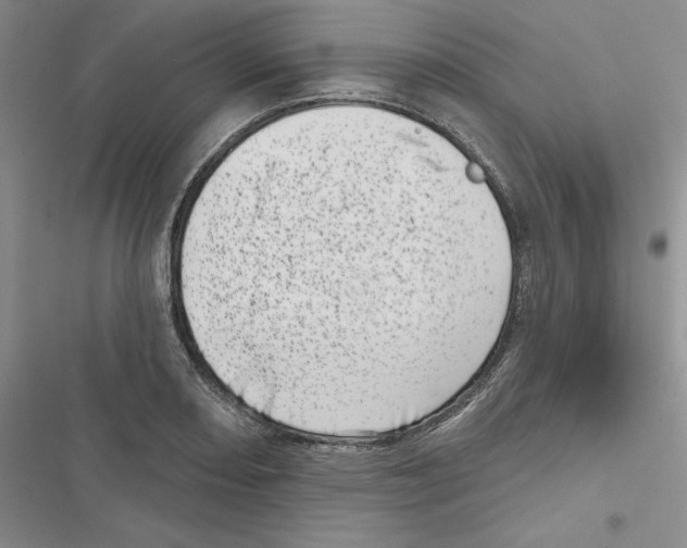 X0000116811082201001151139