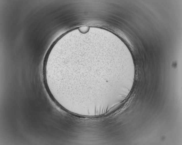 X0000116811087201001151139