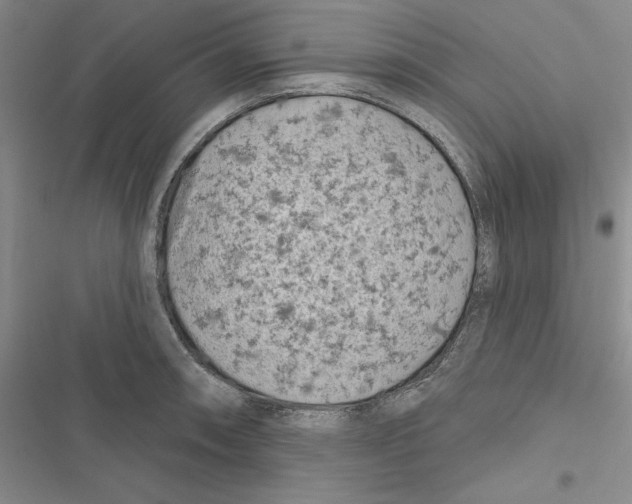 X0000116811090201001151139