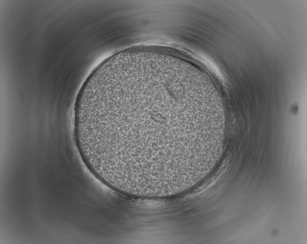 X0000116811095201001151138