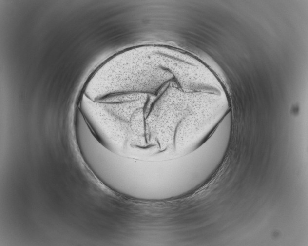 X0000116811096201001151138