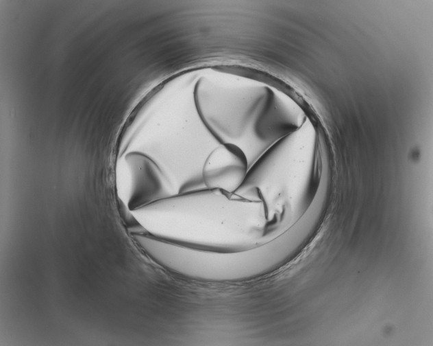 X0000116811097201001151138