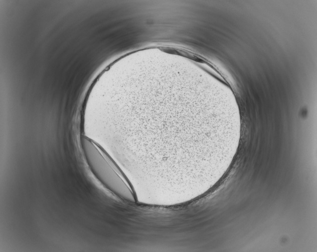 X0000116811100201001151138
