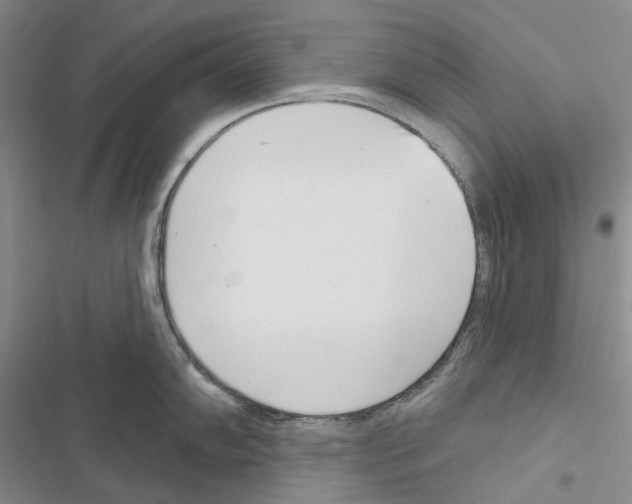 X0000116811102201001151138