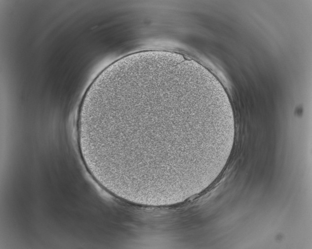 X0000116811103201001151138