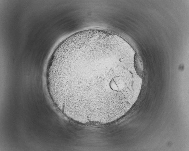 X0000116811104201001151138