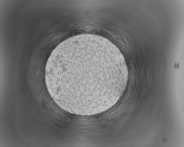 X0000116811105201001151138
