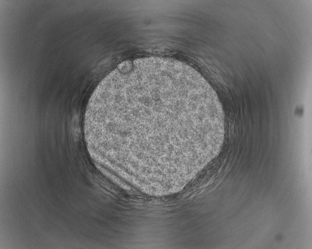 X0000116811106201001151138