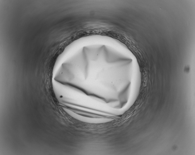 X0000116811109201001151138