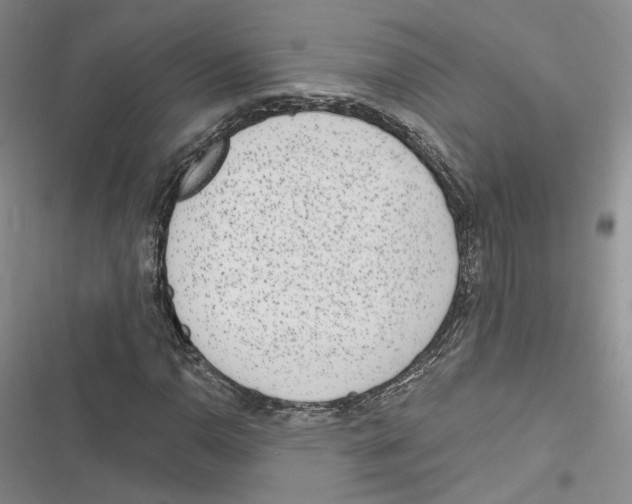 X0000116811110201001151138