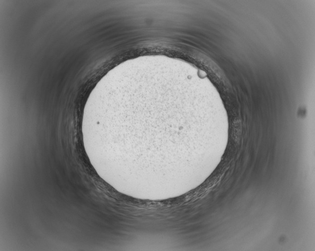 X0000116811111201001151138