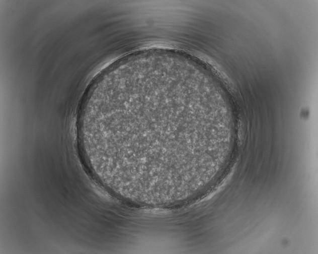 X0000116811113201001151138