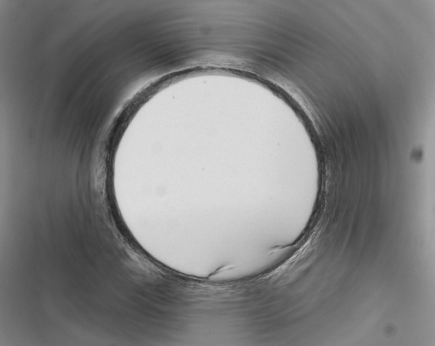 X0000116811115201001151138