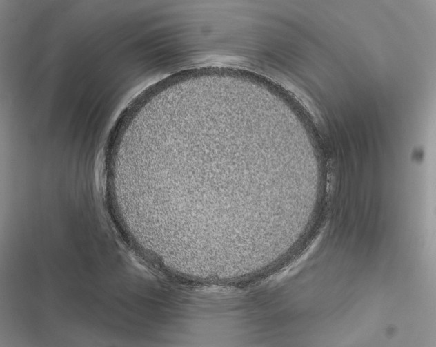 X0000116811117201001151138