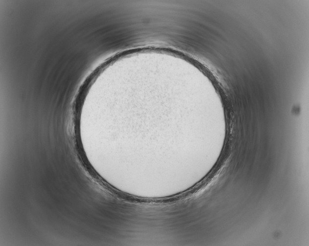 X0000116811118201001151138