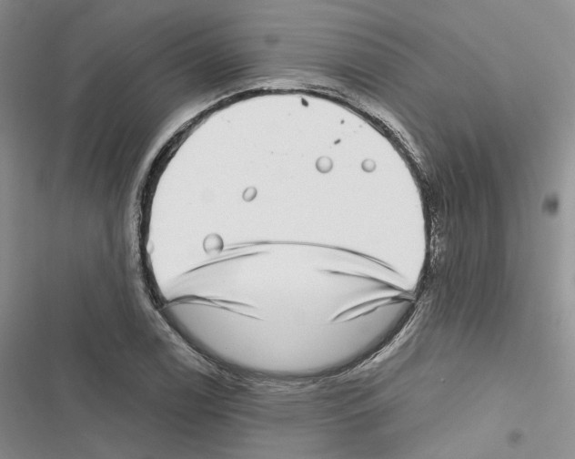 X0000116811122201001151138