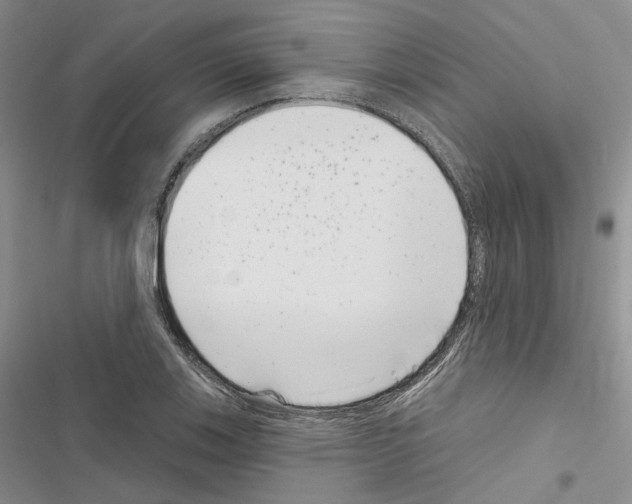 X0000116811123201001151138