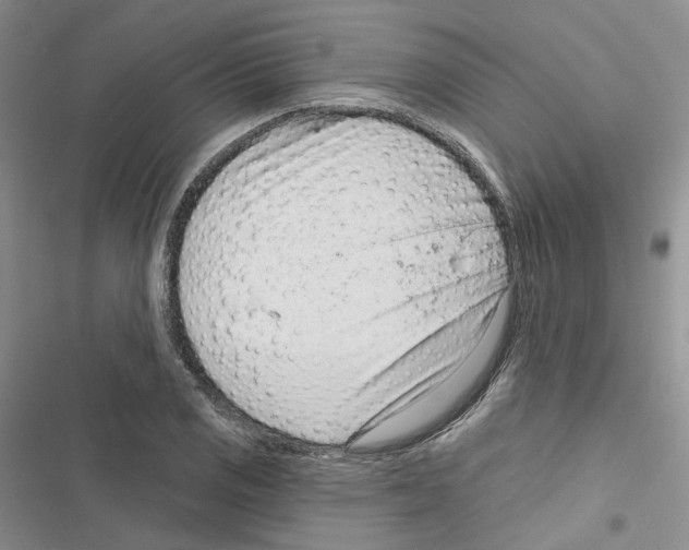 X0000116811125201001151138