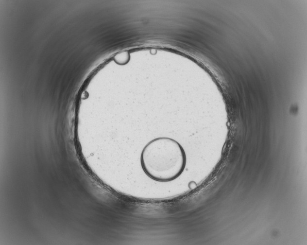 X0000116811126201001151138