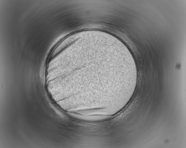 X0000116811127201001151138