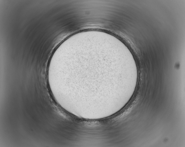 X0000116811129201001151138
