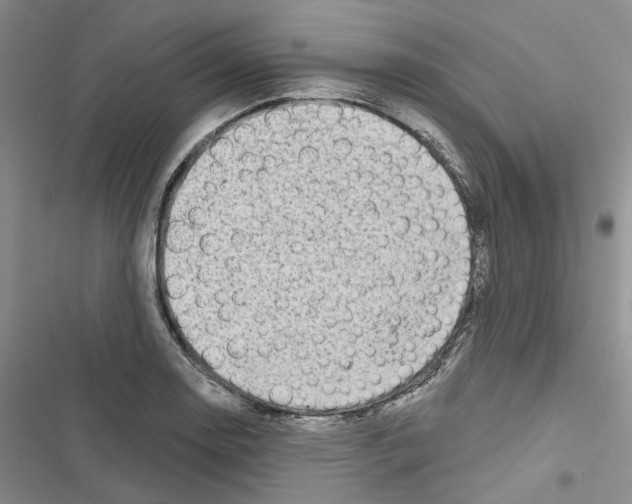 X0000116811130201001151138