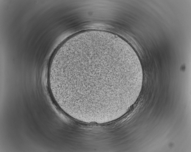 X0000116811131201001151138