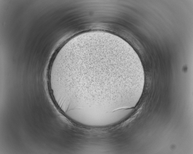 X0000116811133201001151138