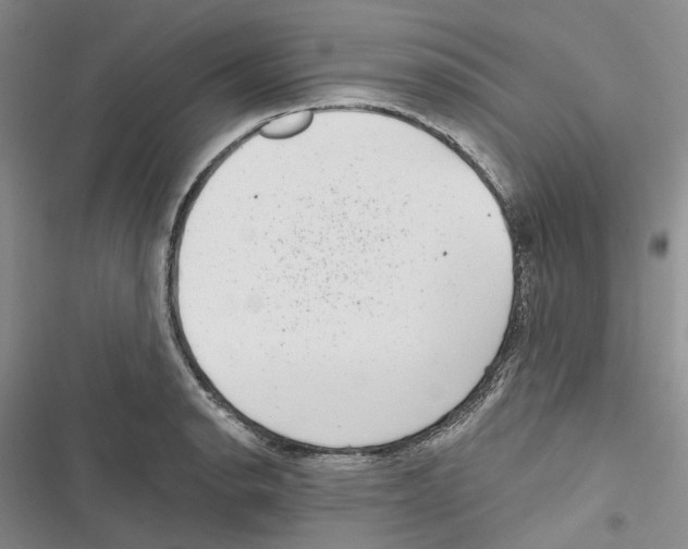 X0000116811134201001151138