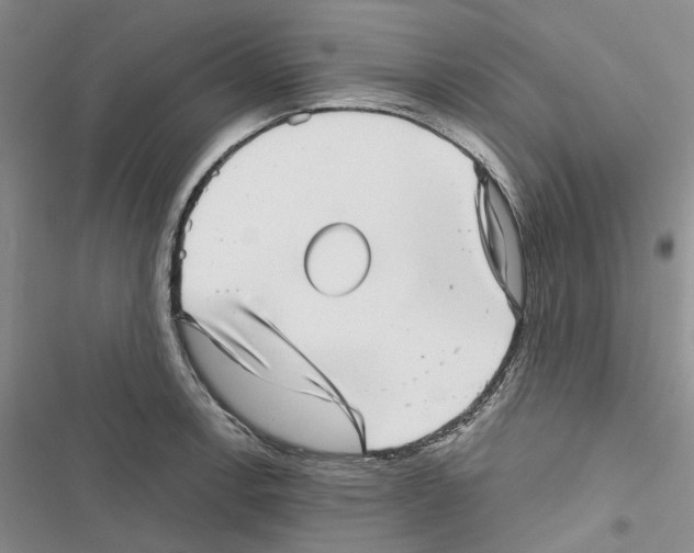 X0000116811138201001151138
