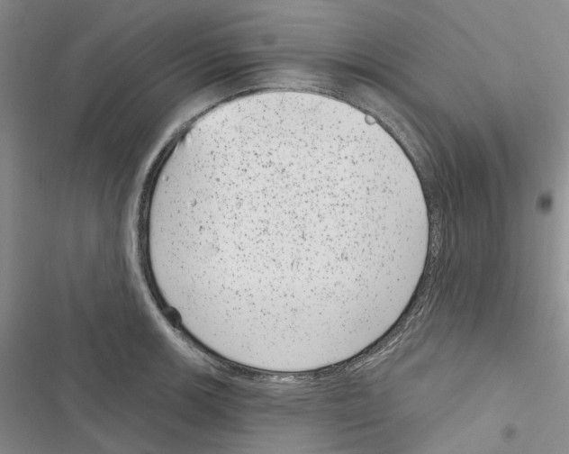 X0000116811139201001151138